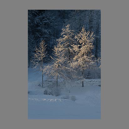 Dernier rayons de soleil au lac de Montriond hiver 2025 par le photographe Christophe Bourreau