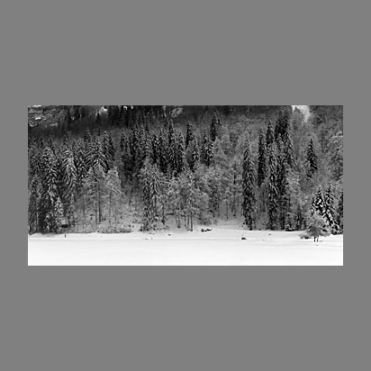 Panoramique noir et blanc du lac de Montriond en hiver par le photographe Christophe Bourreau