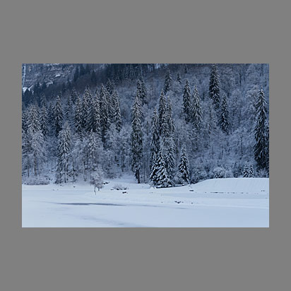 Chute de neige au lac de Montriond par le photographe Christophe Bourreau