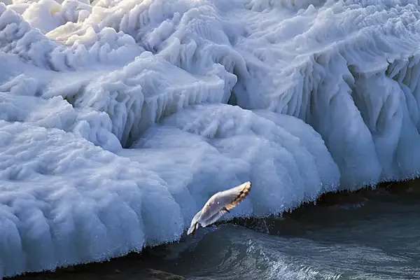 Lac Léman gelé - vague de froid 2012 - les plus belles photos du photographe Christophe Bourreau