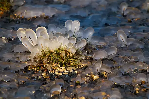 Lac Léman gelé - vague de froid 2012 - les plus belles photos du photographe Christophe Bourreau